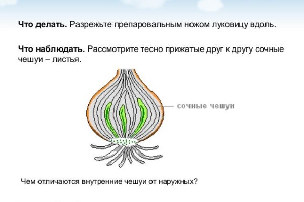 Кракен онион ссылка на тор