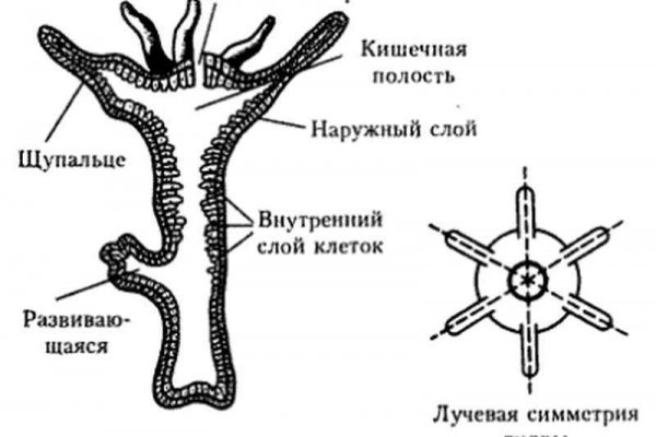 Solaris site