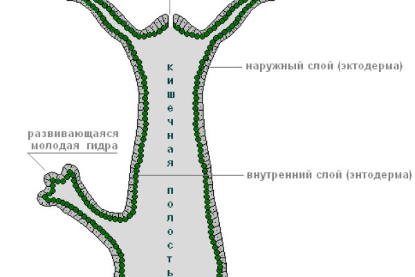 Кракен скандинавская